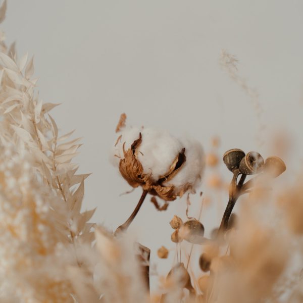 category-cotton